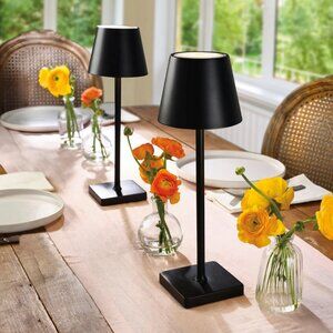 Mikasa Cordless Rechargeable Set of 2 Table Lamps
